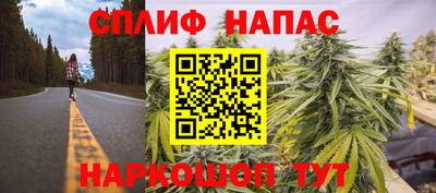 шишки Апрелевка